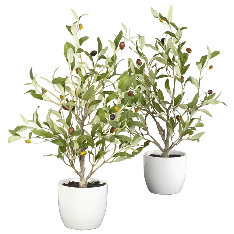 Home plant set