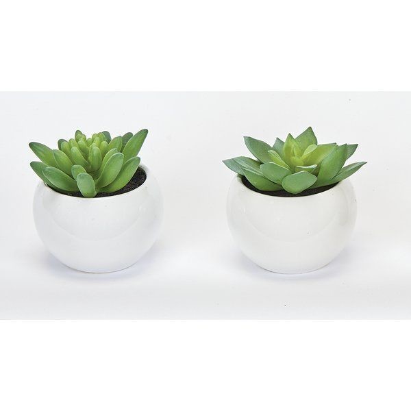 Home plant set