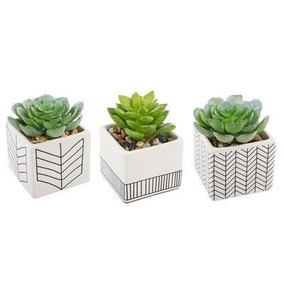 Home plant set