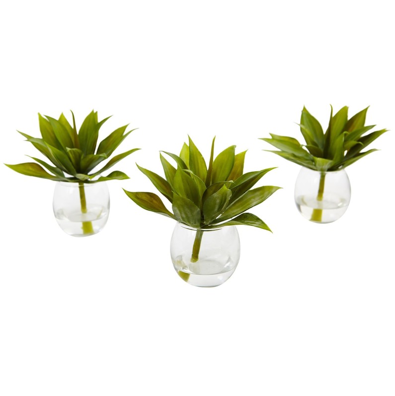 Home plant set
