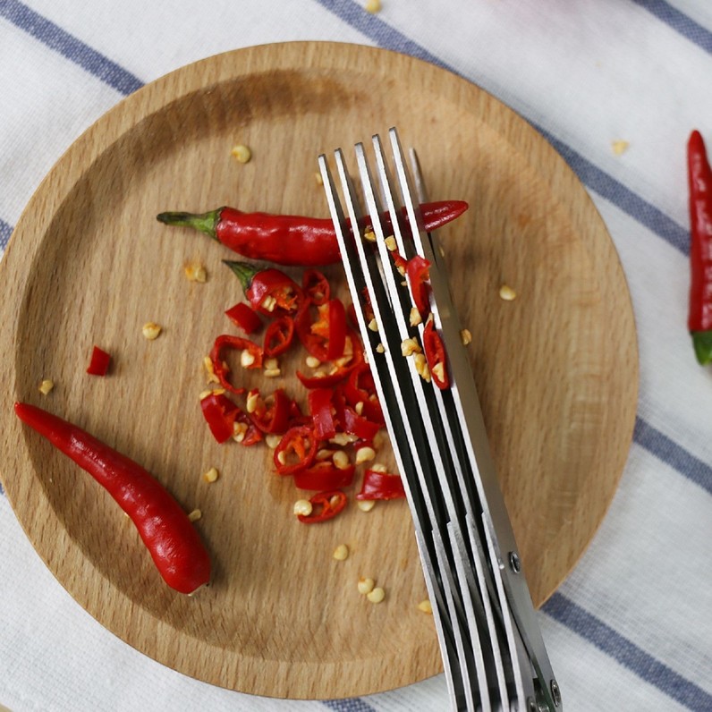 5 Multi Blades Kitchen Shear