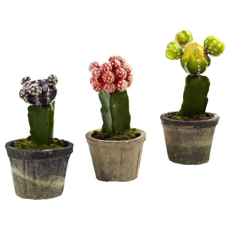 Home plant set
