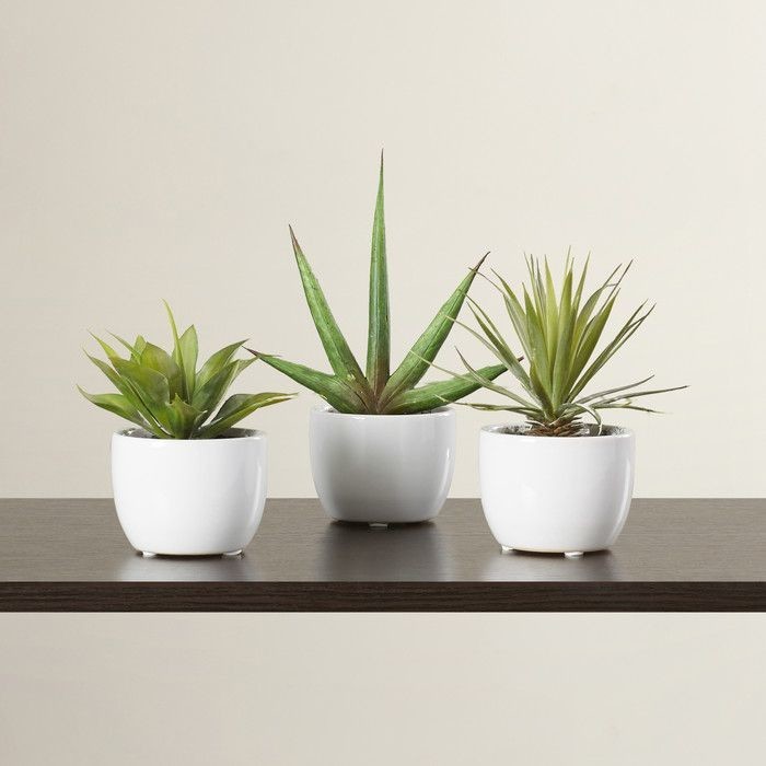 Home plant set