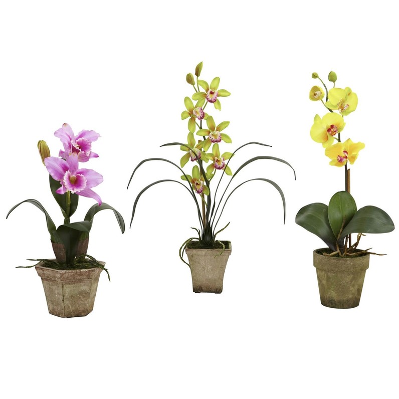 Home plant set