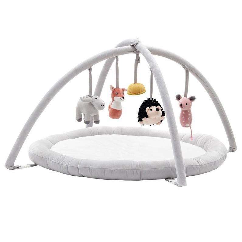 Baby gym