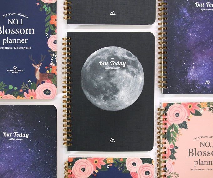But Today Blossom System Diary Planner