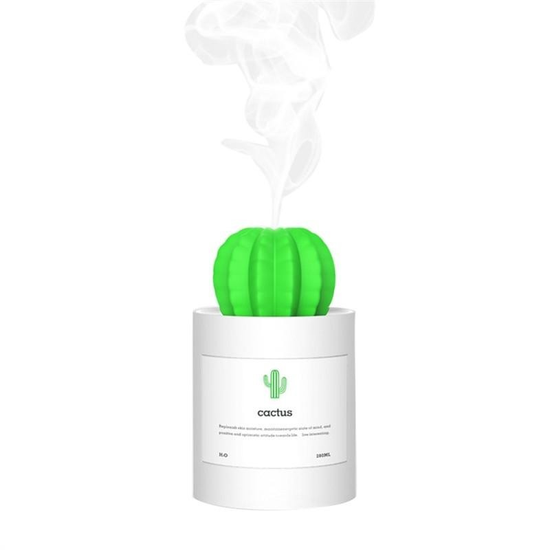 Cactus Air Diffuser