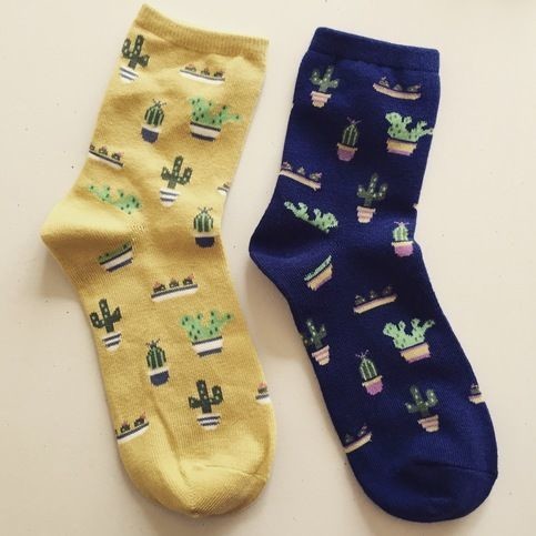 Cactus Pattern Socks