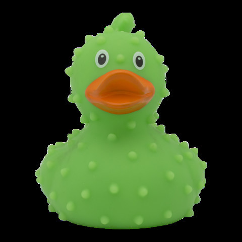 Rubber duck