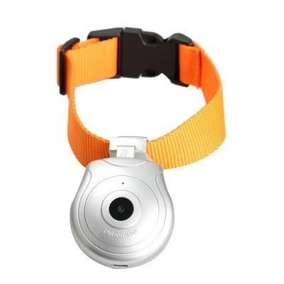 Cat Video Camera Recorder Collar