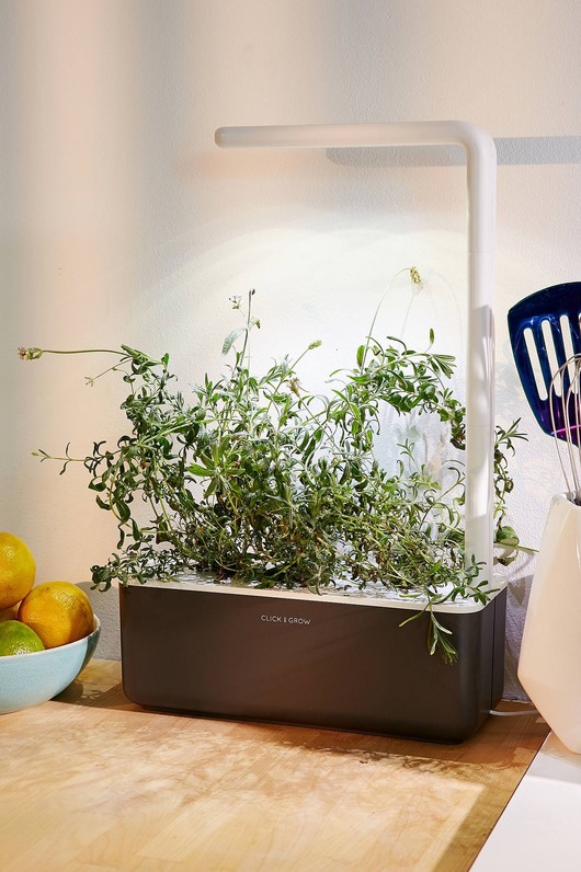 Click & Grow Smart Herb Garden 3 Starter Kit