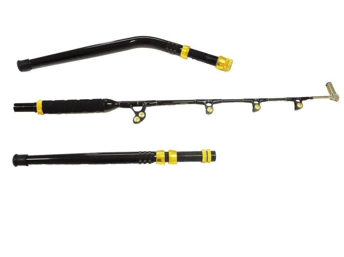 Deep Drop Trolling Rod With Swing Tip