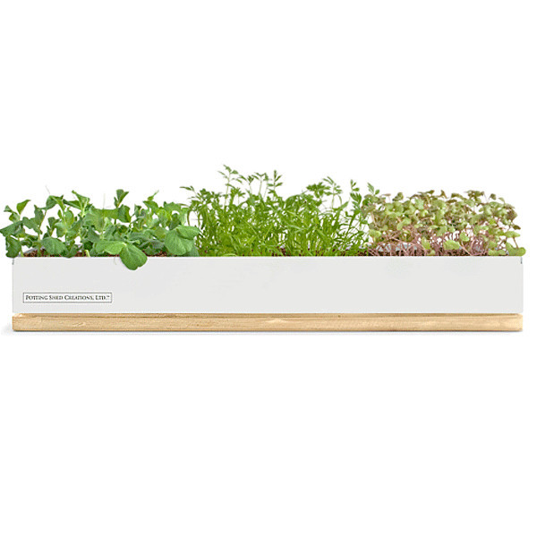 DISCONTINUED Veggie Micro-Green Grow Box