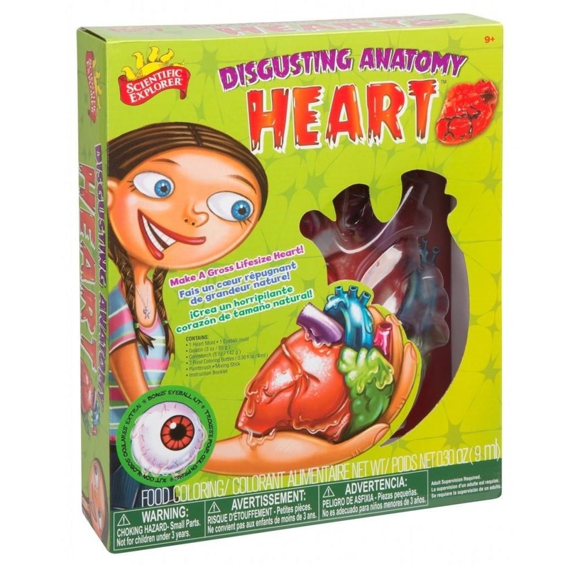 Disgusting Anatomy Heart by Scientific Explorer