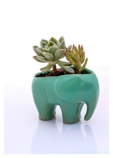 Elephant planter for succulents
