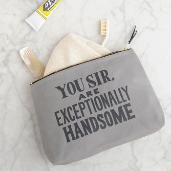 Exceptionally Handsome Wash Bag