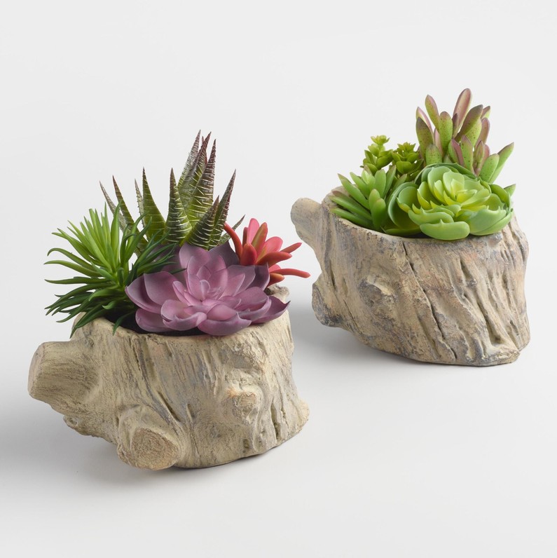 Home plant set