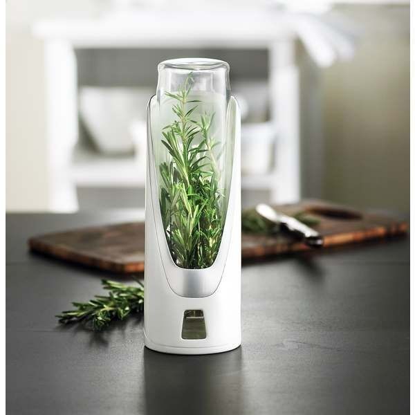Fresh Herb Saver
