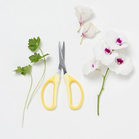 Garden Scissors