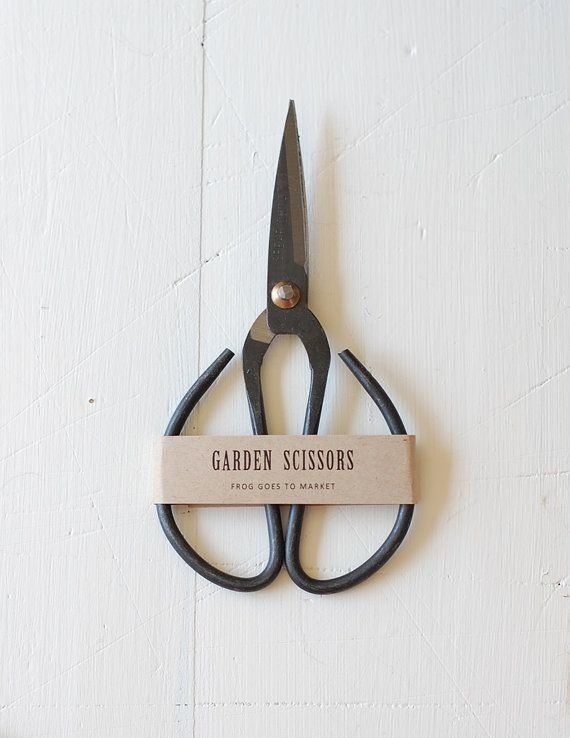 Garden Scissors - Medium