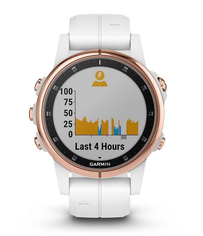 Garmin fenix 5S Plus Smart Watch