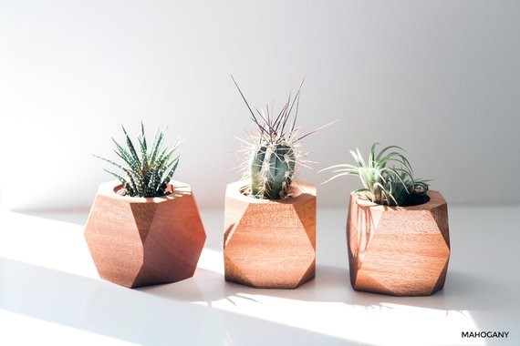 Home plant set