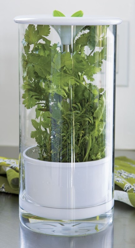 Fresh Herb Storage Canister