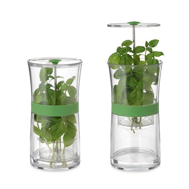 Herb Keeper Container, Storage, Fresh, Refrigerator