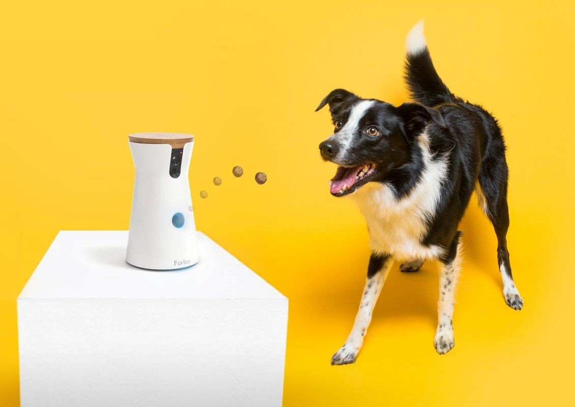 Interactive Pet Camera with Treat Dispenser