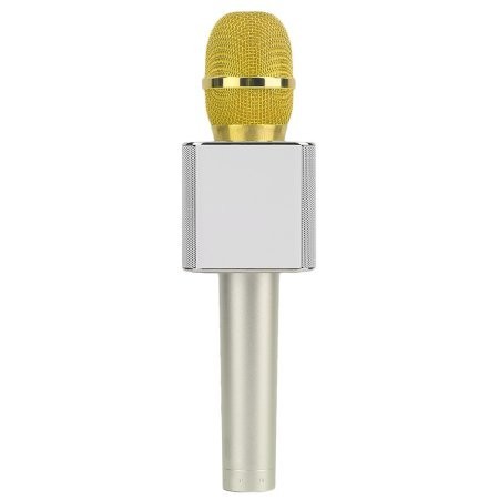 International Handheld Microphone