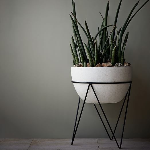 Iris Planter + Chevron Stand