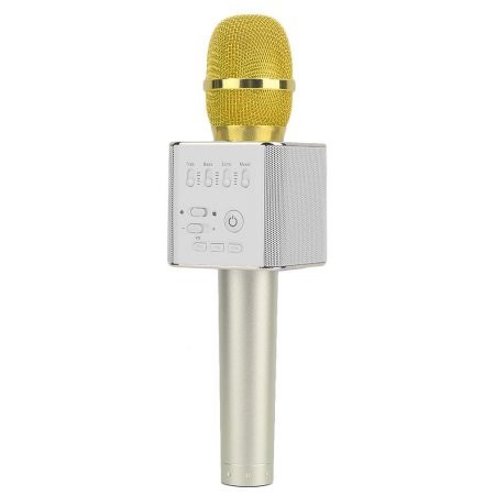 Karaoke Microphone