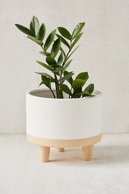 Liv 8” Footed Planter