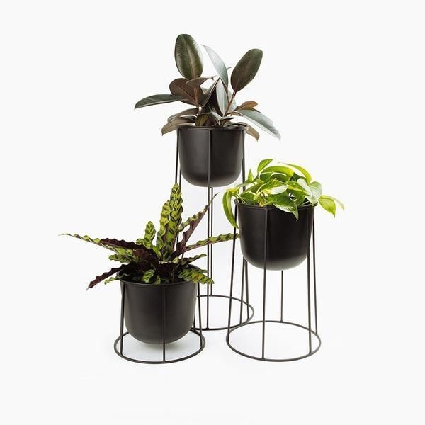 Menu Wire Planter in Black from Apollo Box