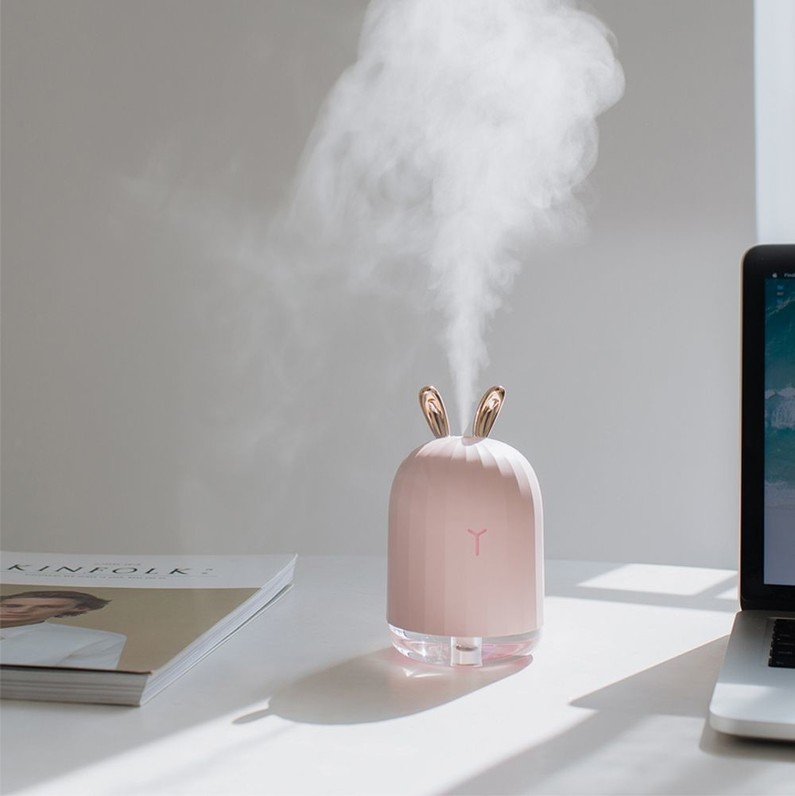 Mini Cute Cool Mist Humidifier