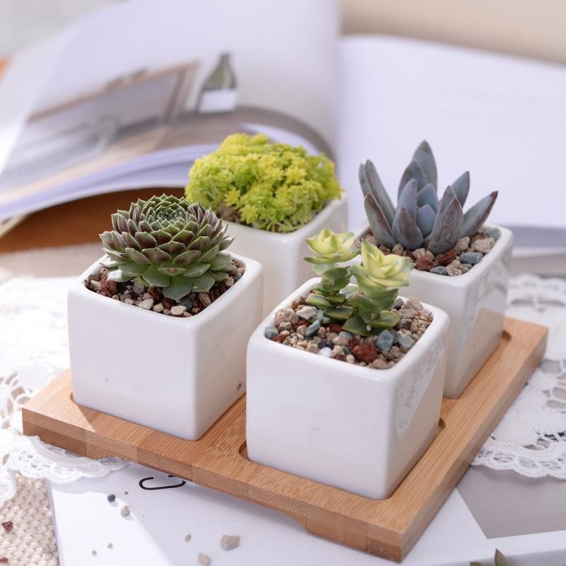 Mini Square Flower Pots with Bamboo Tray (Set of 4)