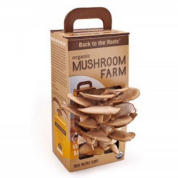 Mushroom Farm from Apollo Box