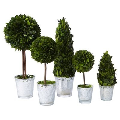 Home plant set