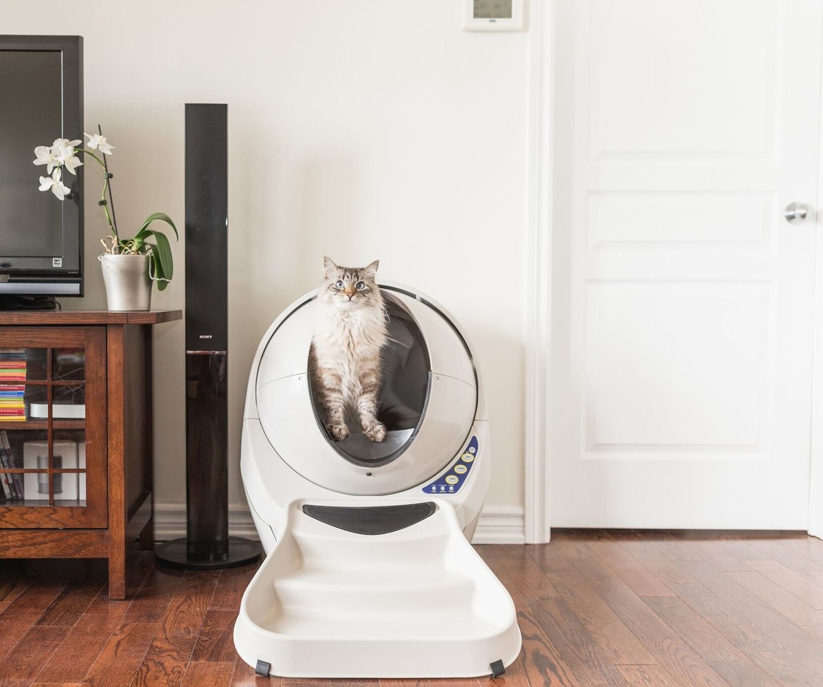 Open Air Automatic Self-Cleaning Litter Box