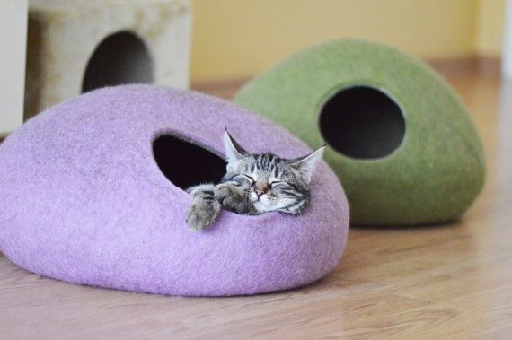 Pet bed