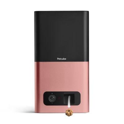 Petcube Bites Interactive Wi-Fi Pet Camera