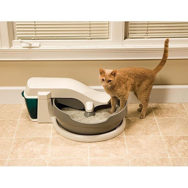 PetSafe Simply Clean Litter Box