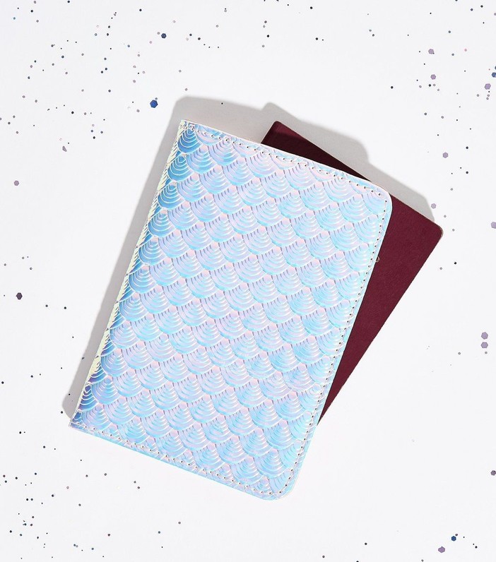 Passport holder