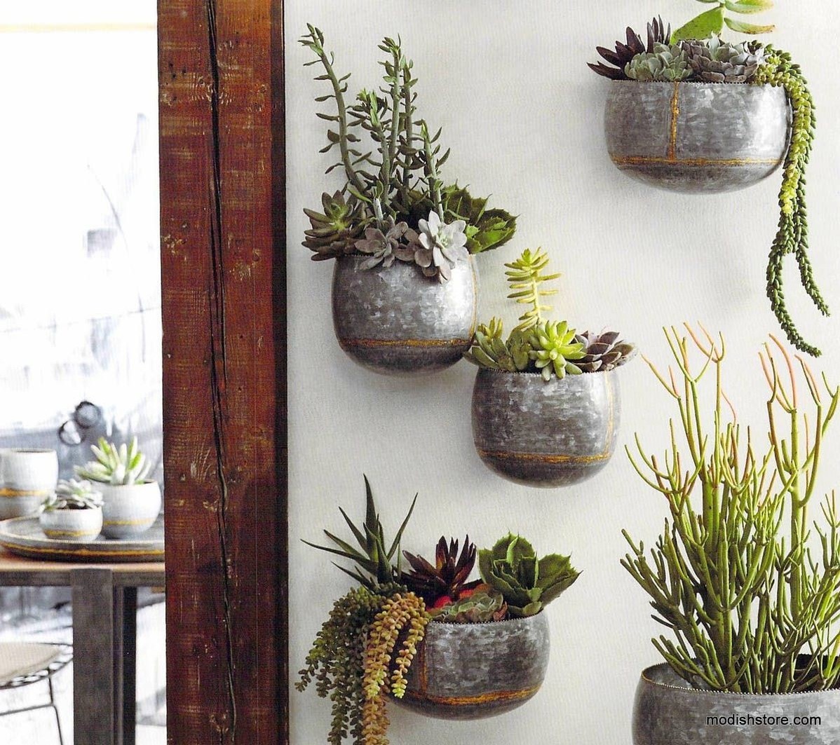Roost Braza Wall Planters