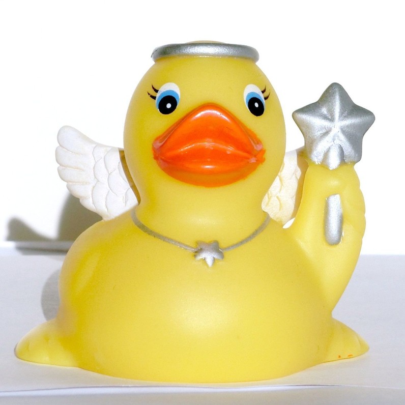Rubber duck