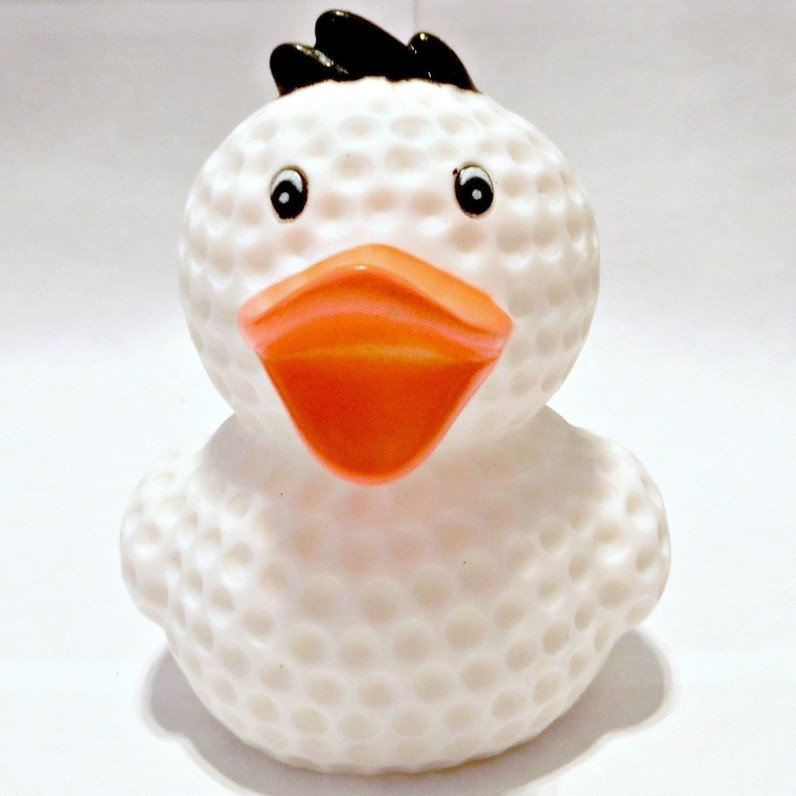 Rubber duck