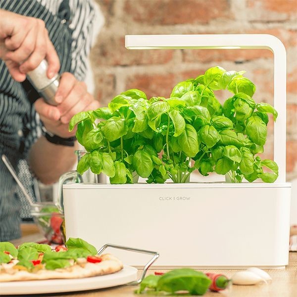 Smart Herb Garden from Apollo Box