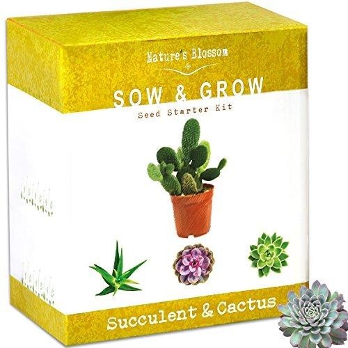 Succulent & Cactus Seed Growing Kit