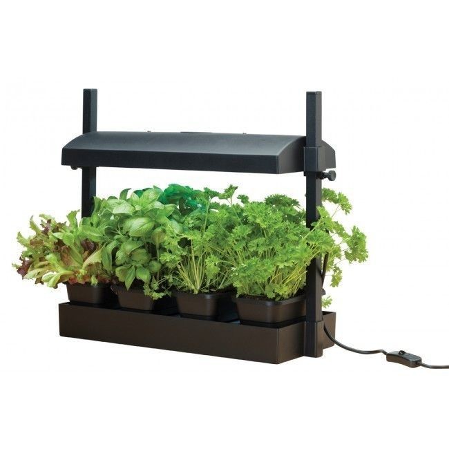 Sunblaster Grow Light Indoor Garden