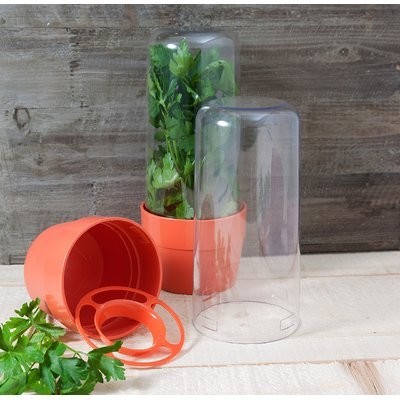 Symple Stuff Kestner 2 Piece Herb and Salad Saver